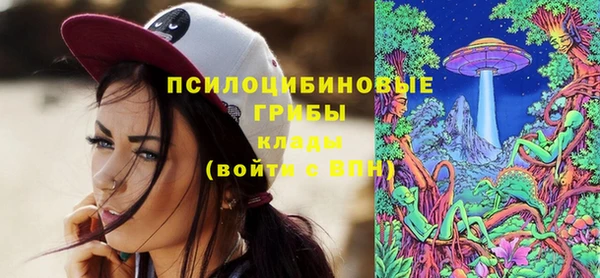 твердый Зеленодольск