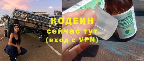 твердый Зеленодольск
