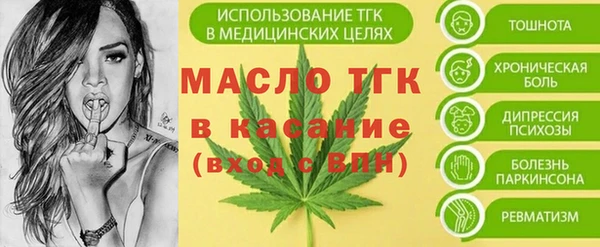 твердый Зеленодольск