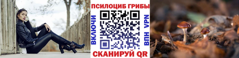 Псилоцибиновые грибы MAGIC MUSHROOMS  это формула  Сретенск 